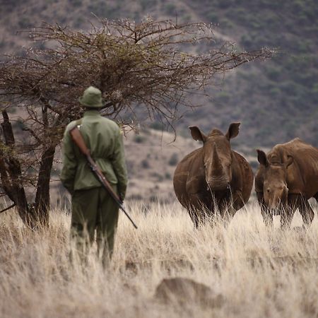 Elewana Lewa Safari Camp 호텔 Timau 외부 사진