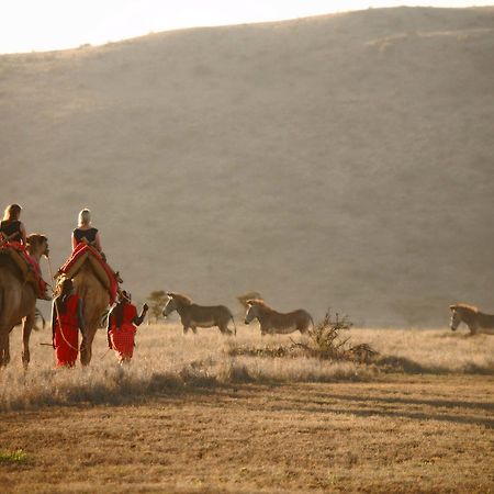 Elewana Lewa Safari Camp 호텔 Timau 외부 사진