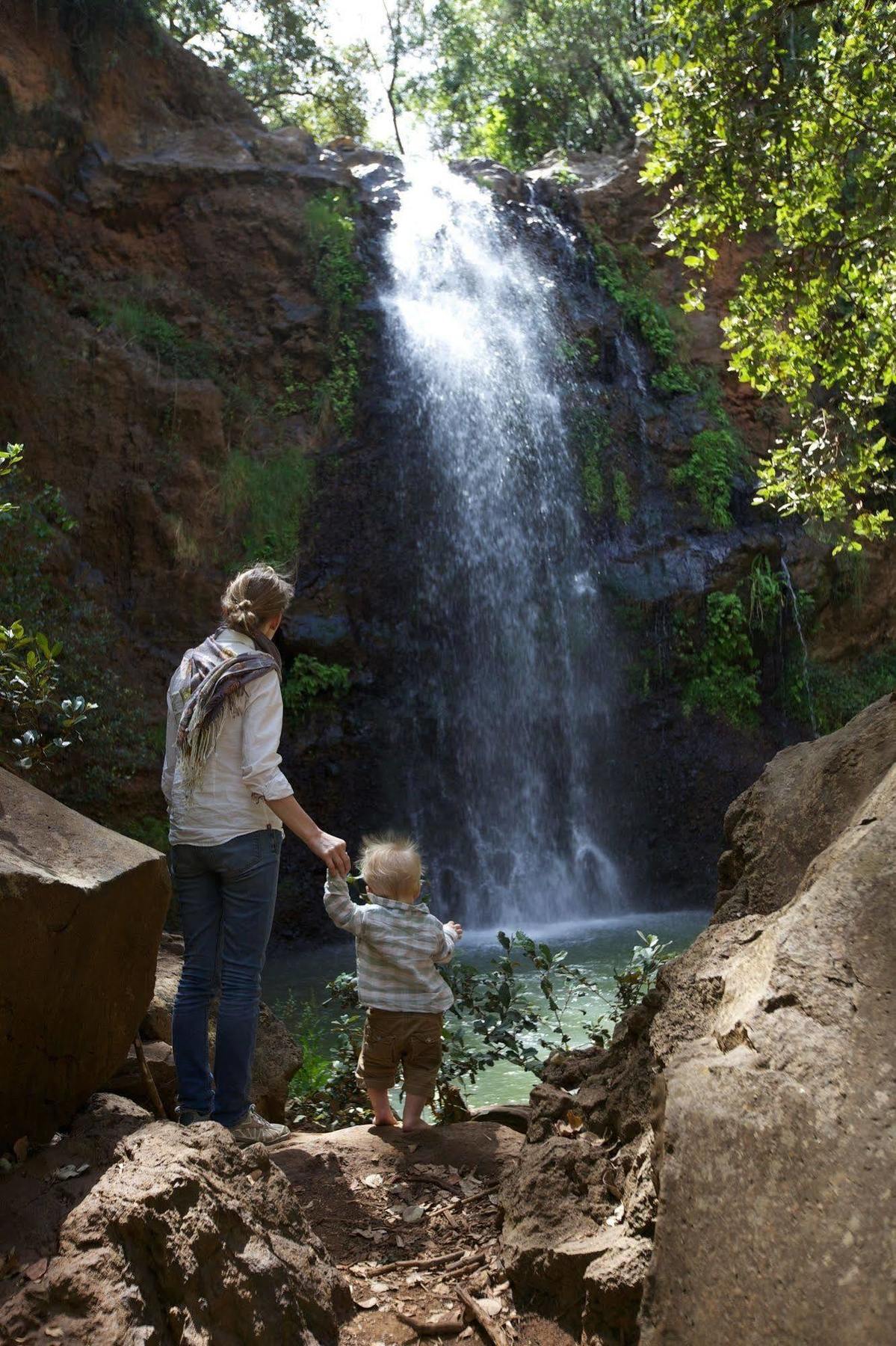 Elewana Lewa Safari Camp 호텔 Timau 외부 사진