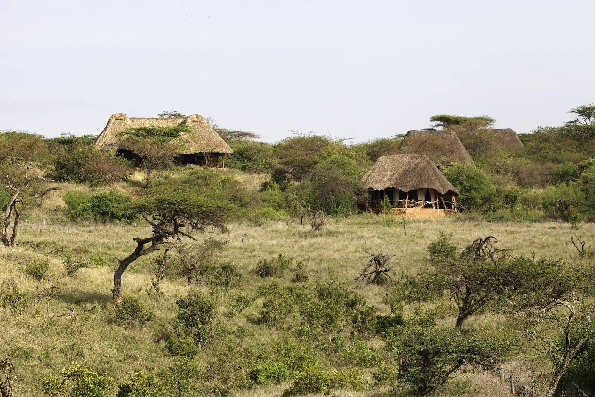 Elewana Lewa Safari Camp 호텔 Timau 외부 사진