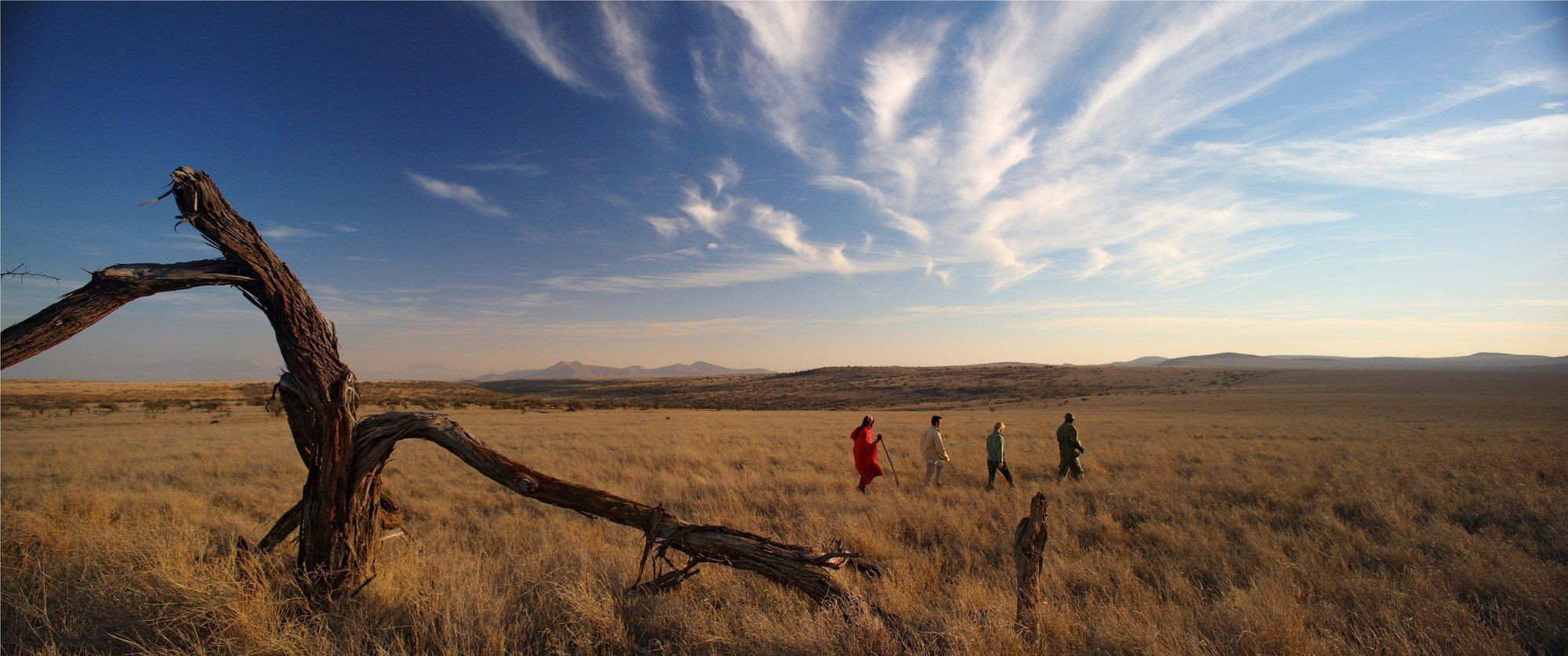 Elewana Lewa Safari Camp 호텔 Timau 외부 사진