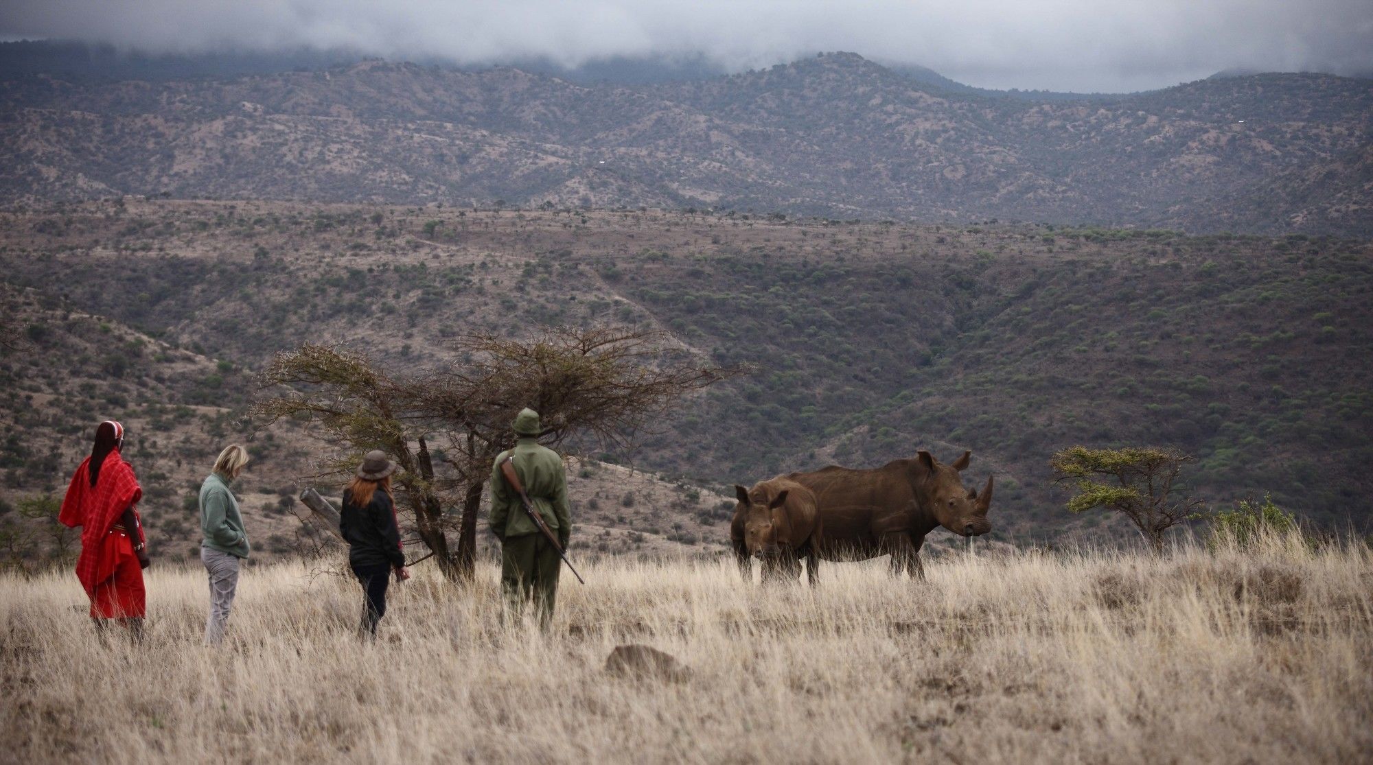 Elewana Lewa Safari Camp 호텔 Timau 외부 사진