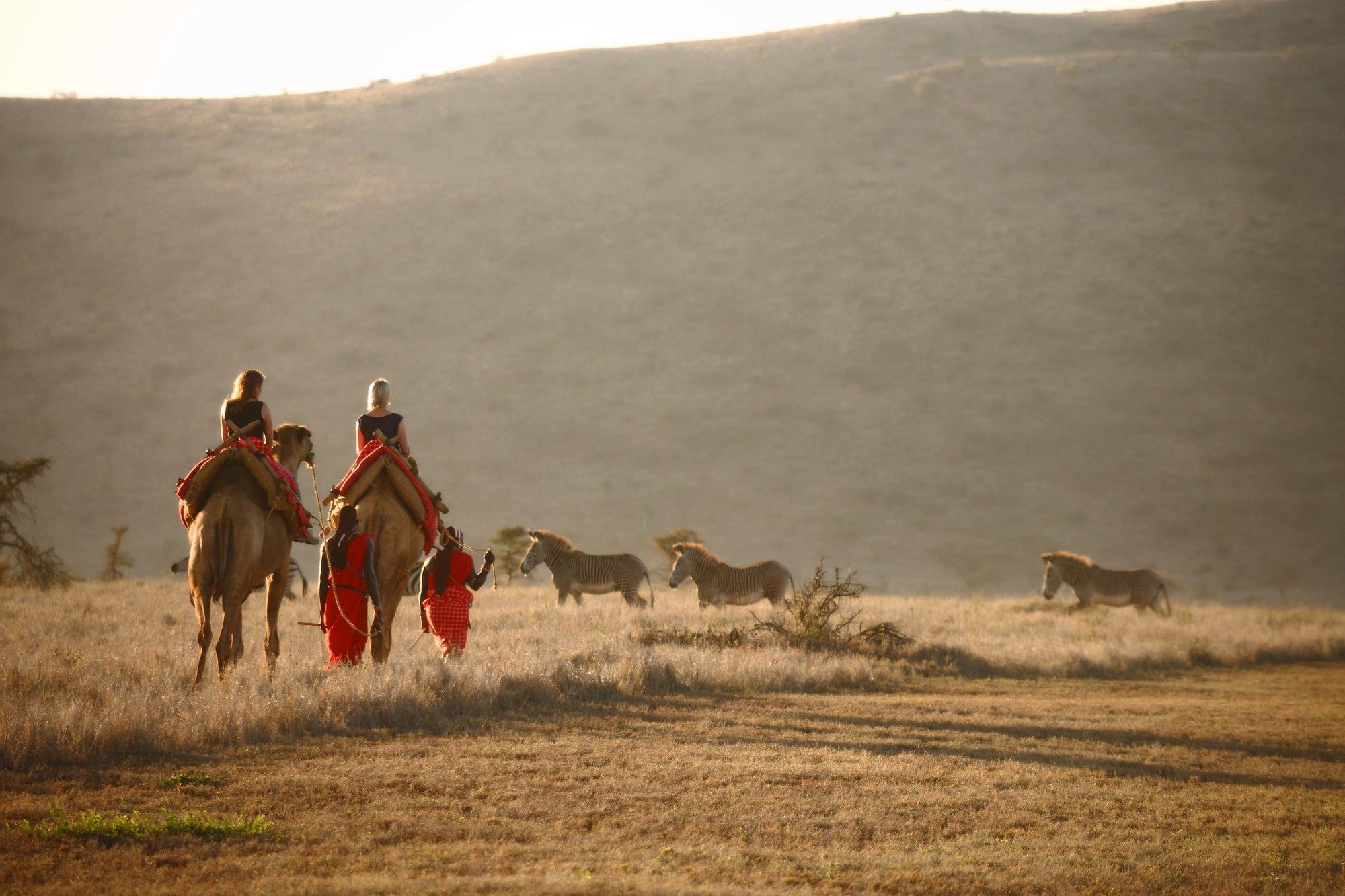 Elewana Lewa Safari Camp 호텔 Timau 외부 사진